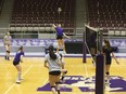 The Western Mustangs women’s volleyball team. (File)