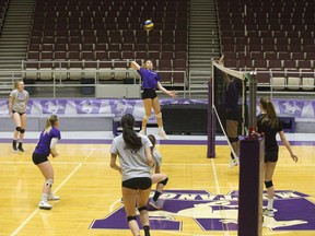 The Western Mustangs women’s volleyball team have made it to the final quartet four years in a row. “It’s something we’re certainly very proud of,” said coach Melissa Bartlett, adding “it’s a testament to the work they put in.” (Derek Ruttan/The London Free Press)