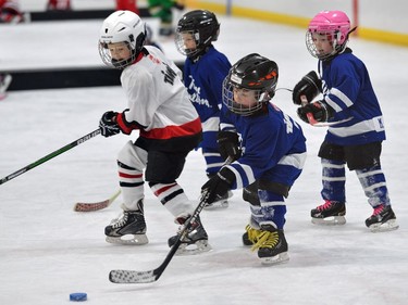 Players fight for the puck during a game of initiation level hockey at Oakridge arena.  MORRIS LAMONT/THE LONDON FREE PRESS /POSTMEDIA NETWORK