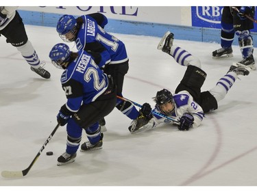 Western Mustang forward Catherine O'Connor is upended trying to check the puck from Montreal Carabins forwards Laurie Mercier and Alexandra Labelle during their game in the Women's Hockey National Championship at Western University's Thompson Arena on Thursday. (MORRIS LAMONT/THE LONDON FREE PRESS)