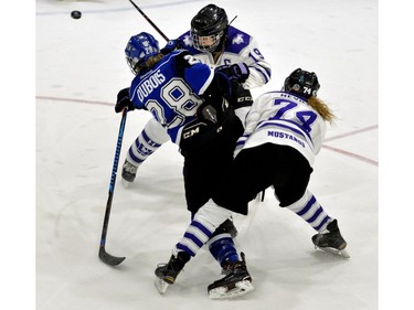 Western Mustang defenceman Emma Pearson, left, and Renae Nevills converge on Montreal Carabins forward Catherine Dubois during their game in the Women's Hockey National Championship at Western University's Thompson Arena on Thursday. (MORRIS LAMONT/THE LONDON FREE PRESS)