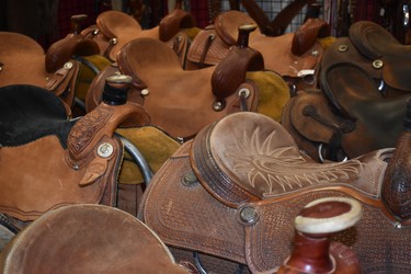 An assortment of leather saddles are for sale at the Working Ranch Cowboys Association World Championship Ranch Rodeo in Amarillo, Texas. 

BARBARA TAYLOR/The London Free Press/Postmedia News