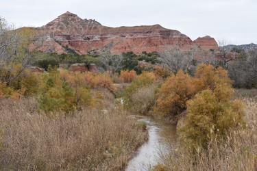 The majestic 25,000-acre Palo Duro Canyon State Park in West Texas is home to the second largest canyon in the United States.


BARBARA TAYLOR/The London Free Press/Postmedia News