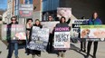 Members of KW Animal Save and London Pig Save hold a vigil outside the provincial offences court office in Simcoe on Thursday prior to the sentencing of Benjamin Stein, who earlier pleaded guilty to animal cruelty charges after 1,500 hogs died at his farm near Frogmore last year. (MICHELLE RUBY/POSTMEDIA NEWS)