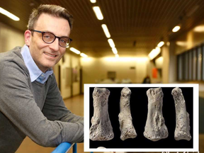Western University professor Jay Stock helped identify the oldest human bones, inset, ever found outside Africa