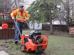 It’s a good idea to seed with more grass right after aerating to increase the overall health of the lawn.  (Postmedia Network file photo)