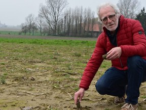 For five years, retired banker-turned-volunteer Pol Lefevre spent his Saturday afternoons helping to dig up fields like this one near Ypres, in Belgium, searching for the remains of First World War soldiers whose bodies were never recovered. Belgium, where most of the war's bloodshed took place, maintains deep ties to the memory of the hundreds of thousands of soldiers killed on its soil during the war. (Jennifer Bieman/The London Free Press/Postmedia News )