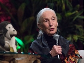 Dr. Jane Goodall (Sheri Determan/WENN.com)