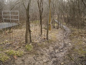 Muddy trails head down to Medway Creek in the Medway Heritage Forest near Wonderland and Fanshawe Park Road. (Mike Hensen/The London Free Press)