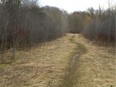 Muddy trails head through the Medway Heritage Forest near Wonderland and Fanshawe Park Road. (Mike Hensen/The London Free Press)