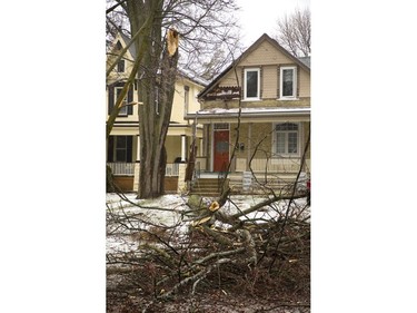 A house on Maitland St. in London was lucky that the wind was blowing hard from the east, as it took a large section of a tree away from their home and onto the street on Sunday, April 15, 2018.  (MIKE HENSEN, The London Free Press)