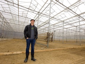 Bruce Dawson-Scully, the CEO of WeedMD, stands inside one section of the company's massive greenhouse complex located between Strathroy and Mt. Brydges within Perfect Pick Farms. Mike Hensen/The London Free Press