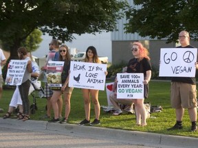 A small group of protesters held signs decrying the slaughter of 80,000 chickens daily at the Cargill plant on Cuddy Blvd. in this Free Press file photo