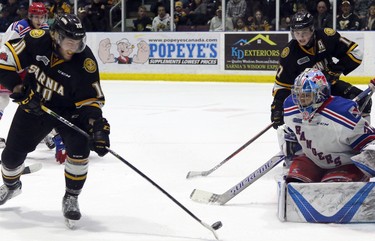 Sarnia Sting forward Anthony Salinitri, left, prepares to backhand the puck past Kitchener Rangers goalie Mario Culina for the Sting's first goal in Sarnia on Sunday during Game 6 of their Ontario Hockey League semifinal series. Greg Colgan/Postmedia Network