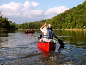 The Grand River offers paddling experiences for both novice and experienced canoeists.