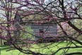 This 150-year-old cabin at Longwoods Road Conservation Authority is  beautifully enhanced by redbud branches. It was donated to the Lower Thames Conservation Authority by the Chippewas on the Thames Band.
BARBARA TAYLOR/THE LONDON FREE PRESS