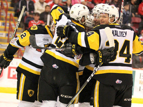 Hamilton Bulldogs players celebrate their team's first goal against Soo Greyhounds goalie Matthew Villalta during first-period action of Game 5 of Ontario Hockey League championship series at Essar Centre in Sault Ste. Marie, Ont., on Friday, May 11, 2018. (BRIAN KELLY/THE SAULT STAR/POSTMEDIA NETWORK)