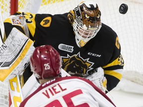 OHL Hamilton Bulldogs goalie Kaden Fulcher (33) stops a shot from QMJHL Acadie-Bathurst Titan forward Jeffrey Truchon-Viel (25) during second period Memorial Cup action in Regina on Tuesday, May, 22, 2018. THE CANADIAN PRESS/Jonathan Hayward ORG XMIT: JOHV119