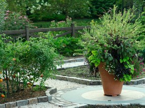 Janice Parker, who designed this garden, suggests to make the most of small outdoor spaces, use one large, dramatic planter rather than several smaller ones. (Photos by Neil Landino Jr./Janice Parker via AP)