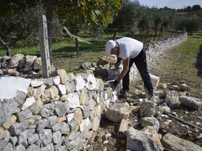 This Oct. 30, 2017 photo shows Daniele Vaduva, a stone mason originally from Romania, working a country wall near Locorotondo in Italy's Puglia region. Locorotondo is known for its master stone workers. Stone is a quintessential building material in Europe - and one largely gone by the wayside in the United States. (Cain Burdeau via AP)