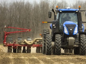 Chris Cowan plants seed corn in a field that last year held wheat on the Cowan farm near Melbourne, west of London, Wednesday. Using GPS technology, each row of corn is planted within a thin strip of soil that was fertilized, rather than fertilizing the entire field, minimizing runoff and tillage, lessoning erosion of valuable topsoil. MIKE HENSEN, The London Free Press