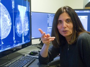 Dr. Anat Kornecki the Radiology lead for St. Joseph's breast care talks about the improvements in breast imaging at St. Joe's. Kornecki says the new contrast and 3-d images allow better visualization of tumors, which previously could have been hidden by dense breast tissue. (MIKE HENSEN, The London Free Press)