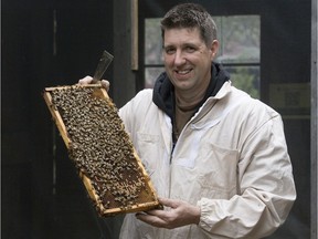 Chris Hiemstra of Clovermead Adventure Farm with some of the honey bees he owns in Aylmer, Ont. on Thursday May 10, 2018. (DEREK RUTTAN, The London Free Press)