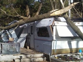 Chelsea Brown-McVeeney has launched a GoFundMe after a fallen tree smashed her family’s trailer during the violent wind storm that whipped through the region Friday.
