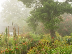 The flowers may be relaxed, but the maintenance requirements are high. The garden relies on a team of gardeners and a dozen volunteers. Erik Kvalsvik photo