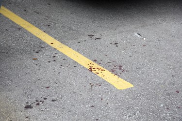 Blood stains the parking area in front of unit 47 at 1443 Huron Street.  A man was shot in the hand/wrist with a shotgun after an intruder gained entry by shooting the door handle off the back door. (Derek Ruttan/The London Free Press)