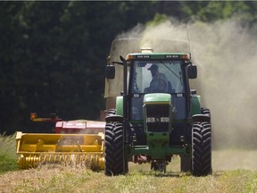 Mike McNaughton of Comrie Farms on Richmond Street North of London kicks up a cloud of dust as he blows hay silage into a hopper wagon Tuesday. McNaughton, the sixth generation of his family to work at the farm, said harvesting hay as silage was easier than baling it, because it's less dependent on the weather. (MIKE HENSEN, The London Free Press)