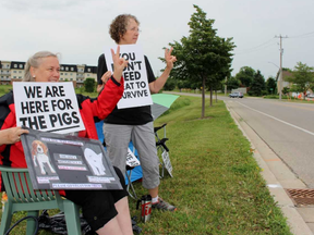 Carla Kuijpers, left, and Pamela Roberts peacefully protest the Ontario Pork Congress on Wednesday, June 20, 2018 in Stratford, Ont. Terry Bridge/Stratford Beacon Herald/Postmedia Network