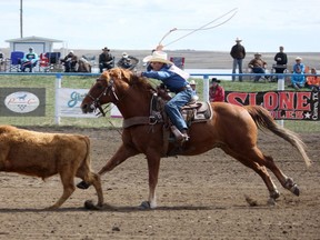 A rider looks to lasso a calf during the calf roping event on May 5 during the Hanna Big Country High School Rodeo at the Hand Hills Lake Stampede Grounds. (Jackie Irwin//Postmedia)