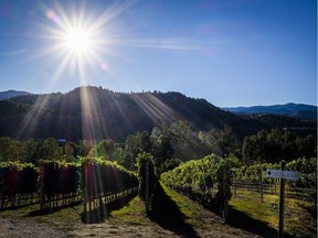 The Okanagan Valley is an example of how a rural area can become an economic and population powerhouse when the private and public sectors work in tandem.