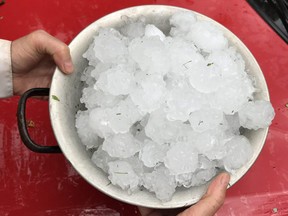 Golf ball-sized hail hit residents northwest of London on Thursday evening. (Jason Hicks/Special to the Free Press)