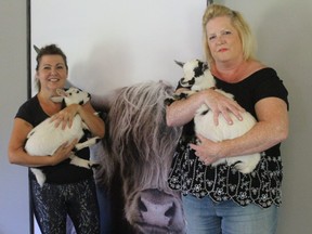 Susan Ashley and Laura Munro of Laughing Goat Yoga Studio say many community members have taken an interest in goat yoga. (Shalu Mehta/The London Free Press)