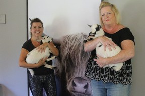 Susan Ashley and Laura Munro of Laughing Goat Yoga Studio say many community members have taken an interest in goat yoga. (Shalu Mehta/The London Free Press)