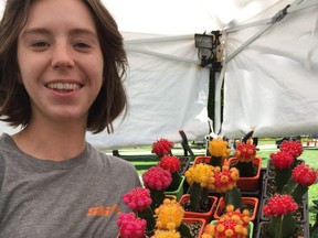 The art and craft vendors at TD Sunfest in Victoria Park until Sunday offer some unique products, such as these cactus plants sold by Tropical Expressions' Alexandra Orlova.