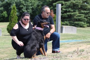 Leonor and Carlos Melo survey the site where a roadside memorial for their son Kyle and his girlfriend Kayla DeMelo was mysteriously dismantled on June 26. The couple was killed in a motorcycle crash on Wellington Road and Ferguson Line on Aug. 28, 2015. DALE CARRUTHERS / THE LONDON FREE PRESS