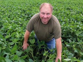 Grande Pointe, Ont. farmer Joe Pinsonneault displays the flowers that are coming on to his crop of soybeans, which will become the pods that will hold the beans. Photo taken on Tuesday July 31, 2018. Ellwood Shreve/Chatham Daily News/Postmedia Network