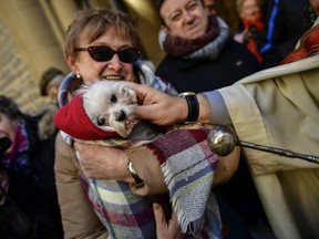 A blessing of animals service. (Associated Press file photo)