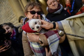 A blessing of animals service. (Associated Press file photo)