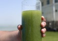 In this Aug. 3, 2014 file photo, a sample glass of Lake Erie water is photographed near the City of Toledo water intake crib on Lake Erie. (File photo)