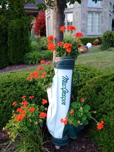 You could say Fred Sexton's Byron home at 160 October Court scores a hole in one every day for garden peepers amused by the creative use of a golf bag serving as a summer home for a pertty next of geraniums. (BARBARA TAYLOR, The London Free Press)