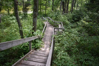Pinery Provincial Park offers 10 hiking trails, each well-maintained and signed. The Bittersweet Trail is 1.2 km and includes a walk along the marshy river and boardwalks.

BARBARA TAYLOR/THE LONDON FREE PRESS