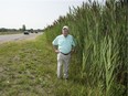Tom Pincombe would like the city to cut down weeds along Veteran's Memorial Parkway because they block memorials meant to recognize veterans in London, Ont. on Monday August 6, 2018. Behind these weeds is the Living Guard of Honour  & Memorial, a plot 108 trees recognizing India's participation in World War One. (Derek Ruttan/The London Free Press)