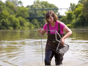 Western scientist Patricia Corcoran studies microplastics in the silt at the bottom of the forks of the Thames on Friday.  (Mike Hensen/The London Free Press)