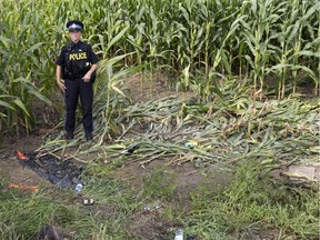 OPP Const. Laura Brown stands at the site of a double fatal car crash at the intersection of Line 26 and Road 122  in St. Paul's, southwest of Stratford, on Wednesday. Derek Ruttan/The London Free Press