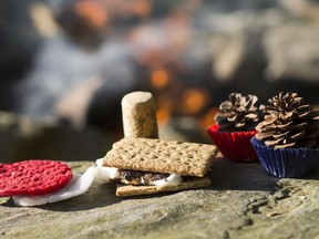 This June 15, 2018 photo shows homemade fire starters, which can help get a camp fire going more quickly, perfect for roasting marshmallows for s'mores this summer. The AP tested three techniques which are shown in this photo using wax-covered cotton pads, , left, corks soaked in rubbing alcohol and pinecones encased in melted tea light candles.