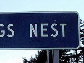 The Dogs Nest highway sign was stolen so many times, it hasn't been replaced.